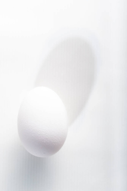Photo of a white egg on a white background with a shadow. Vertical frame. - Photo, Image