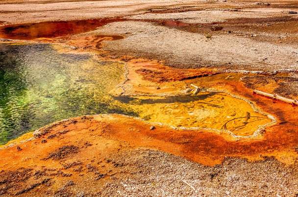Gejzer w Parku Narodowym Yellowstone w Wyoming - Zdjęcie, obraz
