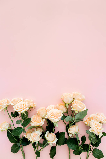 Pastel tea rose flowers on pink background. Floral background. Minimal floral concept. Flat lay, top view.  - Fotó, kép