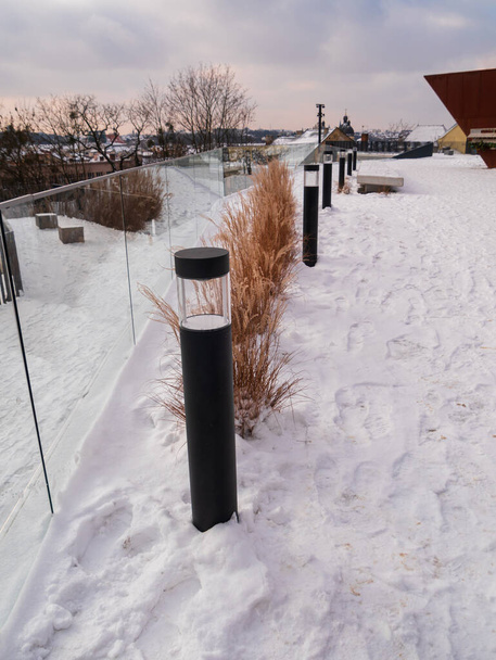 Pampas grass in city parks landscape design. Dry fluffy golden reeds landscaping on white snow background. Reed plants sway on the wind on winter day. Natural trend statement making flowers growing. - Photo, Image