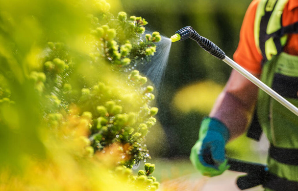 садовник с профессиональным оборудованием для удобрения инсектицидов. Работник распыления деревьев закрыть фото. - Фото, изображение