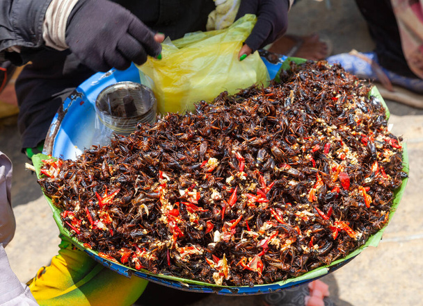 ベトナム珍味昆虫主にゴキブリ - 写真・画像