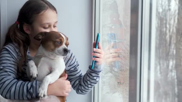  dívka s čivavským psem sedícím na okně. Udělej selfie telefon. karanténa.  - Záběry, video