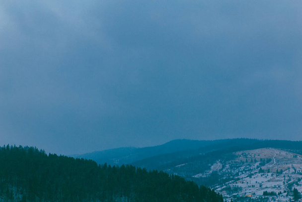 Зимові гори і ліс в похмуру погоду
 - Фото, зображення