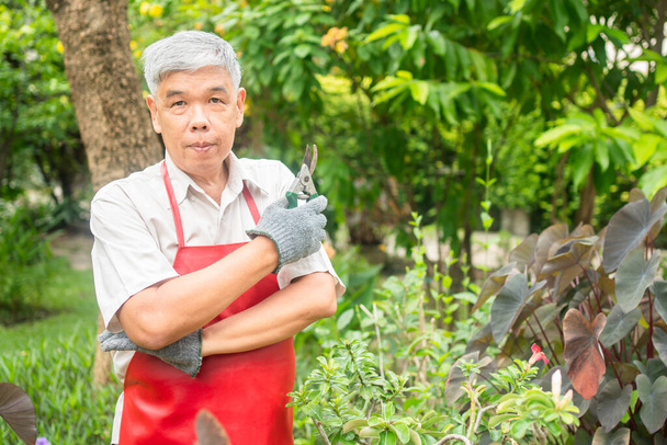 Un anziano asiatico felice e sorridente sta potando ramoscelli e fiori per un hobby dopo il pensionamento in una casa. Concetto di uno stile di vita felice e buona salute per gli anziani. - Foto, immagini