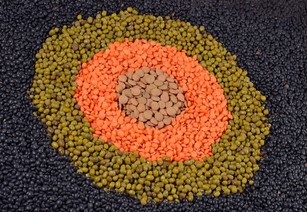 乾燥レンズ豆と豆の混合物 - 写真・画像
