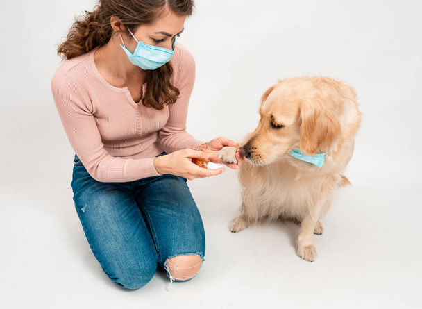 Tyttö lääketieteellisesti suojattu kasvonaamio desinfioi koirat tassut puhdistusaineella. Koiran hymy katsoo kameraa, jossa naamio on eristetty valkoisella taustalla. Lemmikkieläinten hygienian käsite - Valokuva, kuva