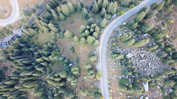 La voiture roule sur la route dans la forêt. Vue de dessus depuis un drone. Terrain montagneux, pentes escarpées et virages. Paysage d'automne. Herbe jaune-verte, sapins verts, collines et rochers. Ombres des arbres - Photo, image
