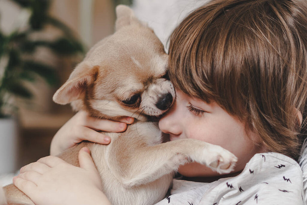 Chihuahua chien lèche les petits enfants riants visage sur le canapé avec couverture. Portrait d'un garçon caucasien heureux embrassant un chiot à la maison confortable sur le canapé et jouer ensemble. Concept de rester à la maison. - Photo, image