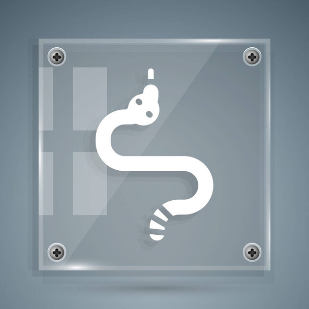 Icono de serpiente blanca aislado sobre fondo gris. Paneles cuadrados de vidrio. Vector. - Vector, imagen