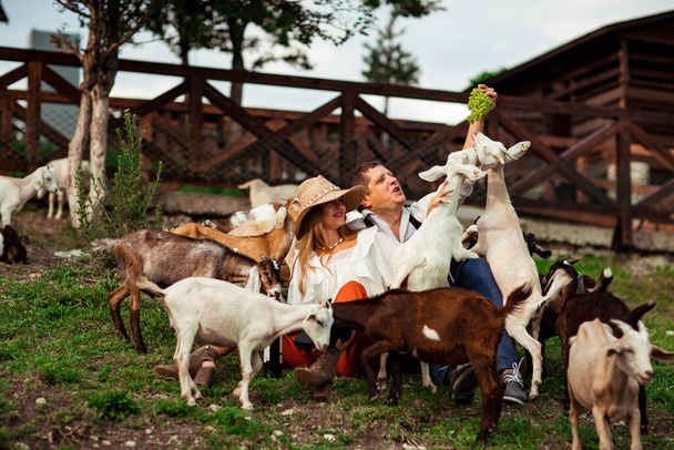 a happy family, a man and a woman in a hat, relaxing and laughing on a farm, surrounded by goats, on a sunny summer day - Foto, imagen