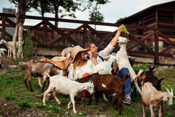 a happy family, a man and a woman in a hat, relaxing and laughing on a farm, surrounded by goats, on a sunny summer day - Фото, зображення