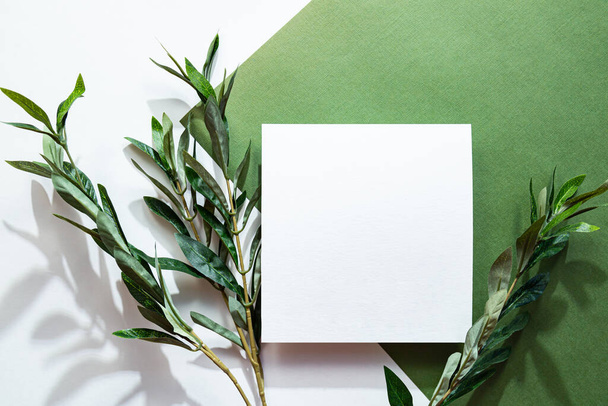 White sheet of paper, eucalyptus branch and long shadows. Empty postcard scene mockup. Green background in sunlight. Flat lay, top view. - Valokuva, kuva