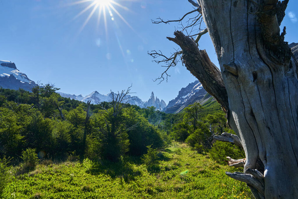 Cerro Torre à côté du mont Fitzroy est un sommet de montagne élevé et caractéristique dans le sud de l'Argentine, en Patagonie, en Amérique du Sud et une destination de voyage populaire pour la randonnée et le trekking pour les touristes - Photo, image