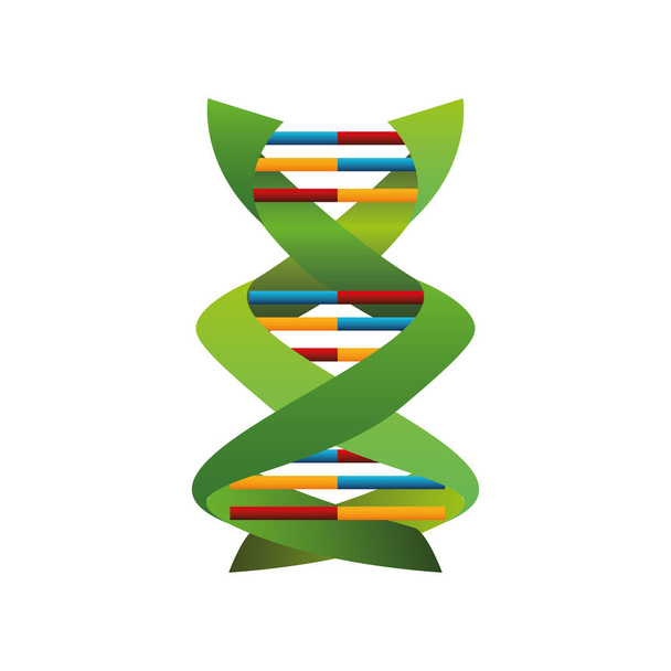 dna molecule structure connections medicine genetic - Vector, Image