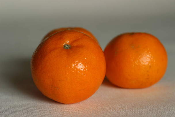 マルタはインドで栽培されている柑橘類です。通称はサントラ。果実の中のジューシーな小胞や片はしっかりと梱包されています簡単に分離できません. - 写真・画像