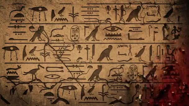 Pyramide Gizeh Cairo Tomb, Hieroglyphen auf altägyptischem Steinbildhauerhintergrund - Filmmaterial, Video