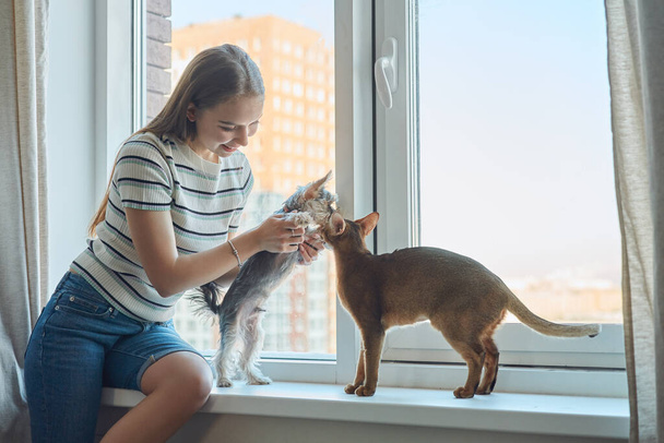 Young woman playing with a dog and a cat on a day off at home. The joy of having pets. - Zdjęcie, obraz