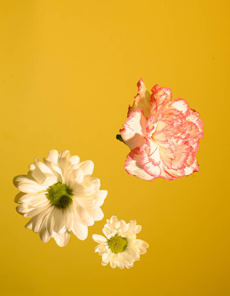 ρομαντική σύνθεση των λουλουδιών που πέφτουν σε φόντο τοίχου, κοντινή θέα, Valentine day concept  - Φωτογραφία, εικόνα