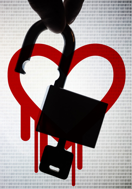 Heartbleed, un bug critique OpenSSL
 - Photo, image