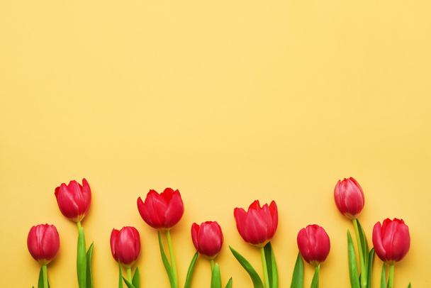 Kartka z życzeniami. Granica czerwonych tulipanów na żółtym tle. Widok z góry, przestrzeń kopiowania - Zdjęcie, obraz