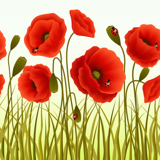 Poppy grass seamless wallpaper - Vector, Image