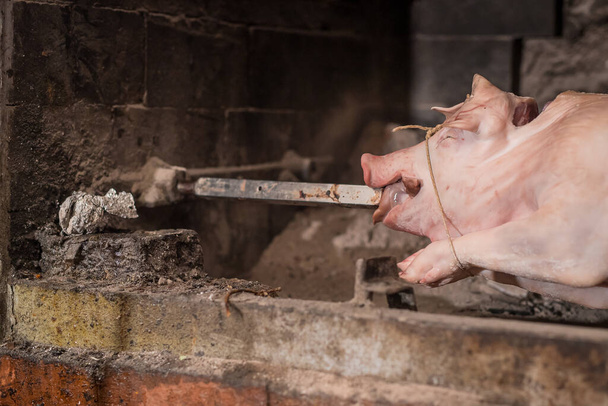 Pig on a metal rod is being prepared to be turned on a traditional balkan grill called rostilj or odojek. Fresh pig waiting on a grill. Detail of rod inserted into mouth. - Photo, Image