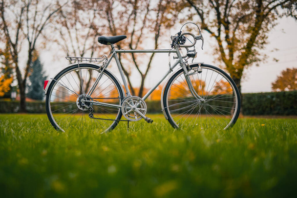 Silver vintage urban city bike standing on a green lawn in a park. Side view of a vintage bicycle outdoors. Good and ecological urban transport, parked in green environment. - 写真・画像