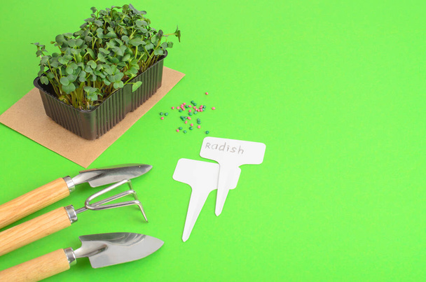 Planter des microgreens. Emballage avec graines de radis. Outils de jardin pour planter des plantes. Photo Studio - Photo, image