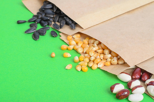 Sementes de legumes em sacos de papel kraft em fundo brilhante. Foto Estúdio - Foto, Imagem