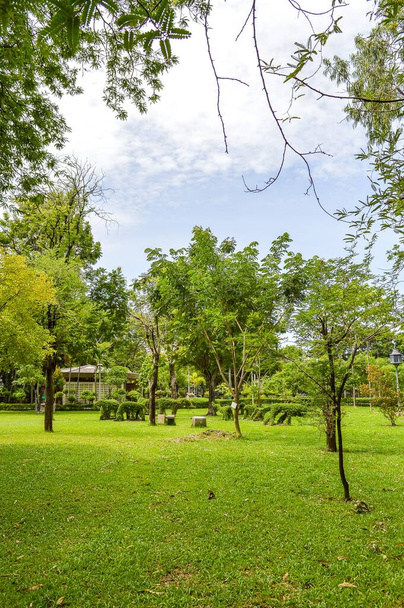 groene tuin in het land Thailand - Foto, afbeelding