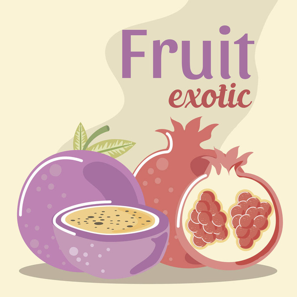 pomegranate and passion fruit fresh fruit exotic - Vector, Image