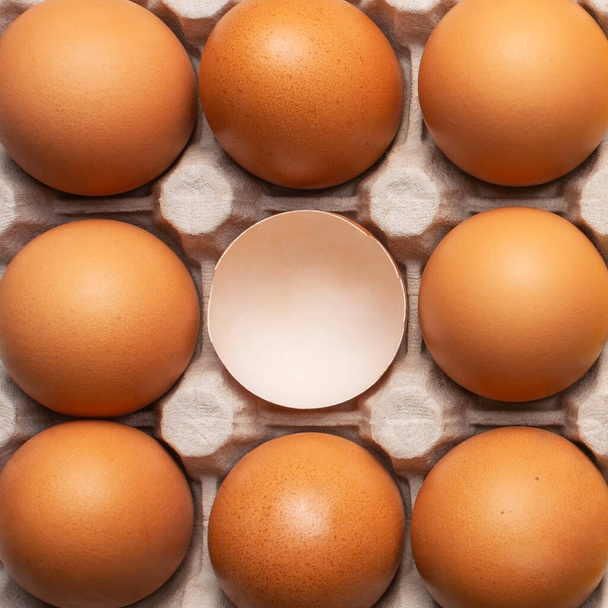 Brown fresh chicken eggs and one broken eggshell in carton box. Closeup natural organic egg pattern. Healthy farm real food. Top view, flat lay - Zdjęcie, obraz