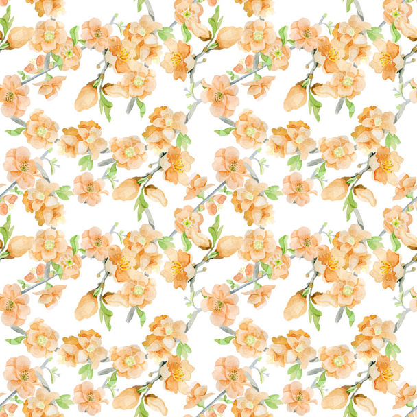 Beautiful peach flowers watercolor seamless pattern background - 写真・画像