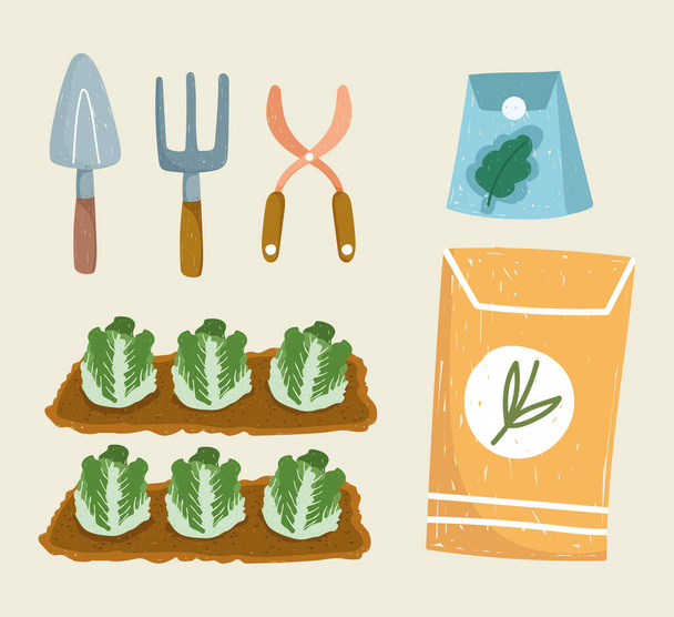 zahradnictví zelí balení semen a nářadí hrábě a lopaty, ručně kreslené barvy - Vektor, obrázek