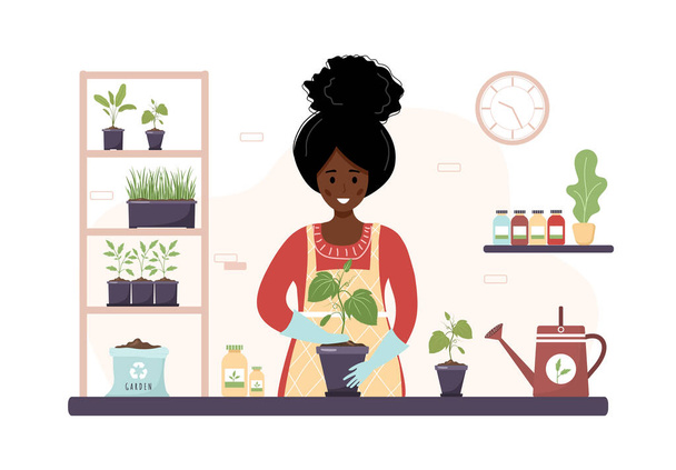 Plantar em casa. Desenhos animados mulher africana replantio de mudas em orangery. Passatempo de jardinagem. Ilustração vetorial em estilo plano. Conceito de viveiro e cuidado de plantas domésticas - Vetor, Imagem