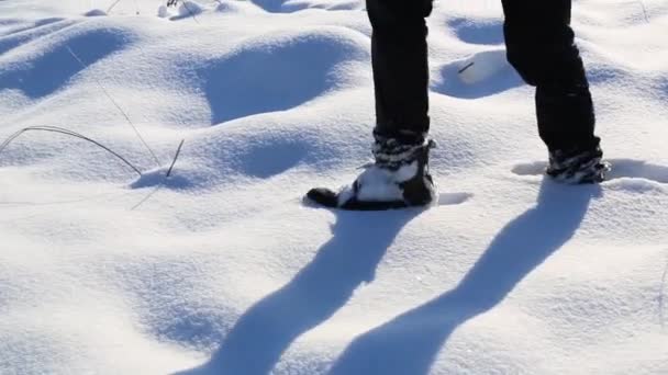 Genç bir çocuk derin karda yürür..  - Video, Çekim