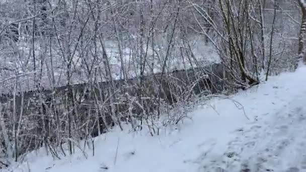 un paseo por un río con agua furiosa sobre pequeñas piedras mientras la zona está cubierta de nieve en invierno - Metraje, vídeo