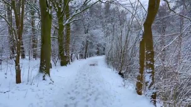 een wandeling over een rivier met woedend water op kleine steentjes terwijl het gebied in de winter bedekt is met sneeuw - Video