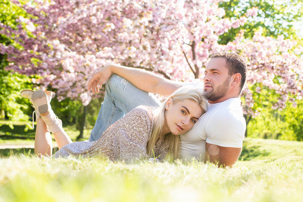 Couple relaxing on grass in blossom park. Valentines day concept. Spring couple. Outdoor portrait of young lovers couple near sakura. - Foto, immagini