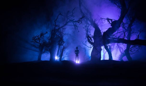 bloeddorstige zombies vallen concept aan. Silhouet van een enge zombie die 's nachts door het dode bos loopt. Creatieve tafeldecoraties. Selectieve focus - Foto, afbeelding