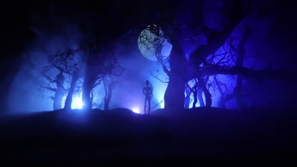 Kísérteties sötét táj, amely a fák sziluettjeit mutatja a mocsárban ködös éjszakákon teliholdkor. - Felvétel, videó