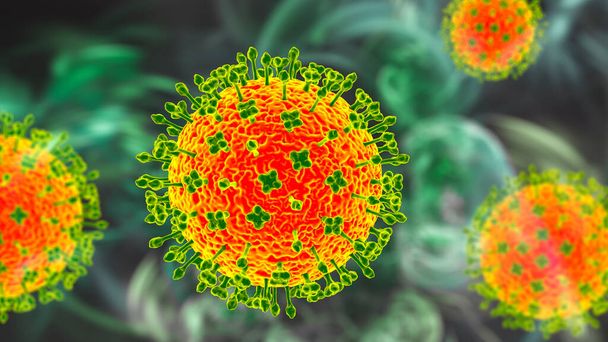 Вирус Нипах, новый вирус, переносимый летучими мышами, который вызывает острое респираторное заболевание и тяжелый энцефалит, трехмерная иллюстрация - Фото, изображение