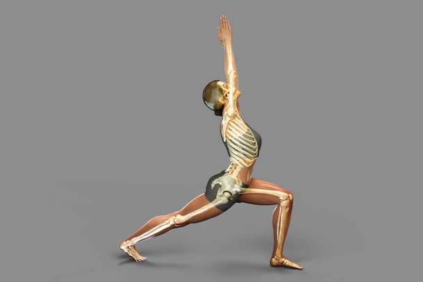 Anatomie van yoga, vrouwelijk in Warrior 1 yoga positie, of Virabhadrasana, met gemarkeerd skelet. 3D illustratie toont skeletactiviteit in deze yoga houding - Foto, afbeelding