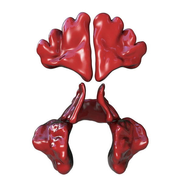Anatomie des sinus paranasaux. Illustration 3D montrant les sinus frontaux, maxillaires, ethmoïdes et sphénoïdes - Photo, image