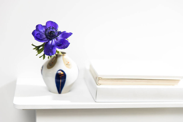 Jeden niebieski anemon w wielobarwnej wazonie w stylu lat siedemdziesiątych na stole z książkami jako dekoracji wnętrz. Przestrzeń kopiowania - Zdjęcie, obraz