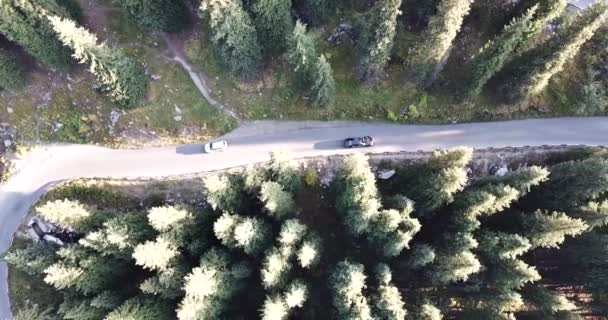 El coche está conduciendo por una carretera en el bosque. Antena - Metraje, vídeo