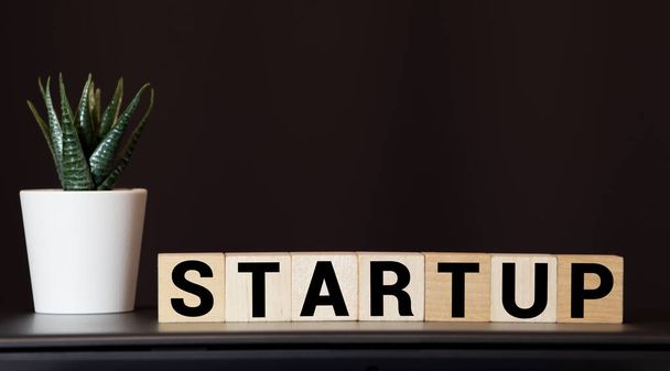 Wooden blocks with the word Startup. Temporary structure designed to find and implement a scalable business model. The concept of raising funds for a startup. Crowdfunding. Investing in the future. - Photo, Image