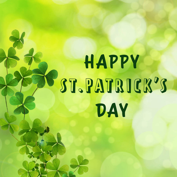 Happy St. Patrick's Day. Clover leaves on green background, bokeh effect - Photo, image