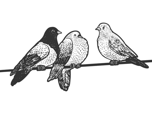 birds on the wire sketch engraving vector illustration. T-shirt apparel print design. Scratch board imitation. Black and white hand drawn image. - Vektor, Bild